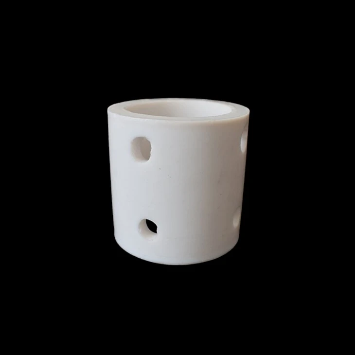 PTFE Plastic Rasching Ring